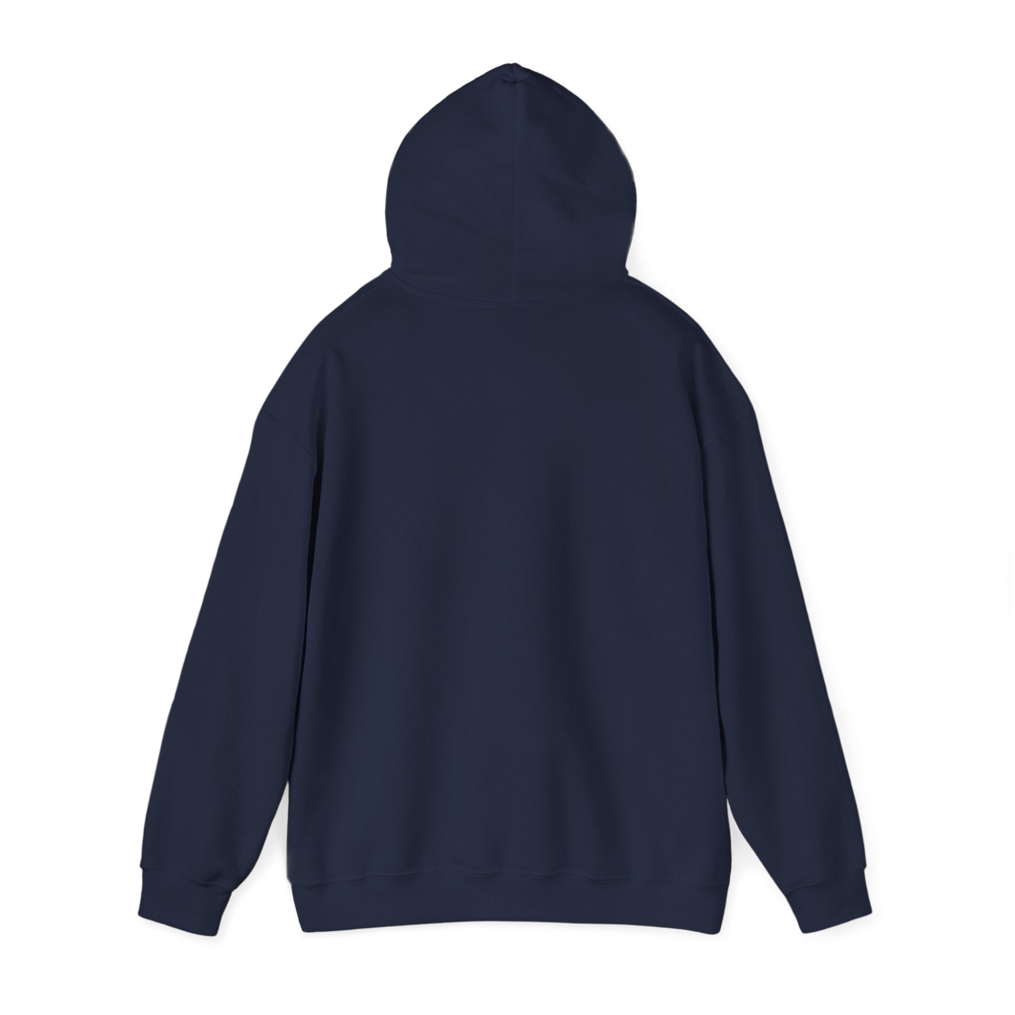 Salty Air coastal aesthetic Hoodie | sea breeze, pastel blue