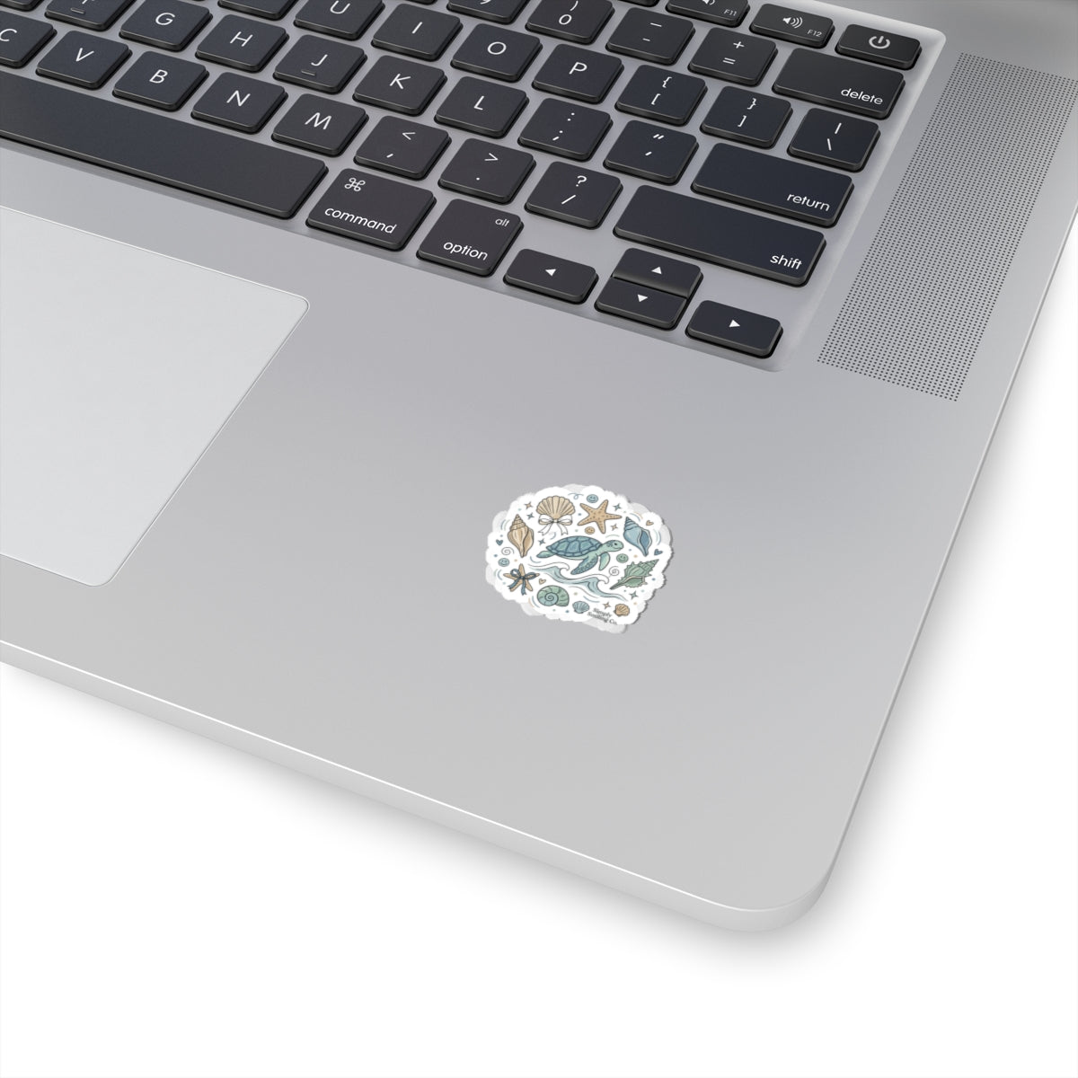 Sea Turtle Coastal Sticker | ocean aesthetic, pastel seafoam