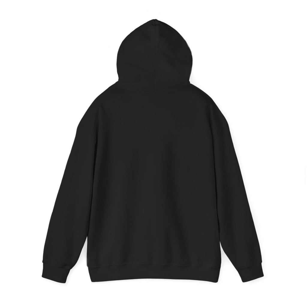 Be Still God’s Got This Hoodie | Christian encouragement, pastel groovy faith