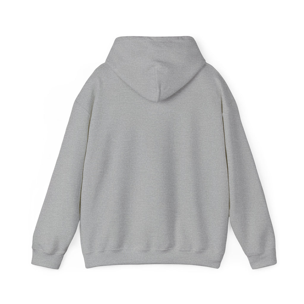 Be Still God’s Got This Hoodie | Christian encouragement, pastel groovy faith