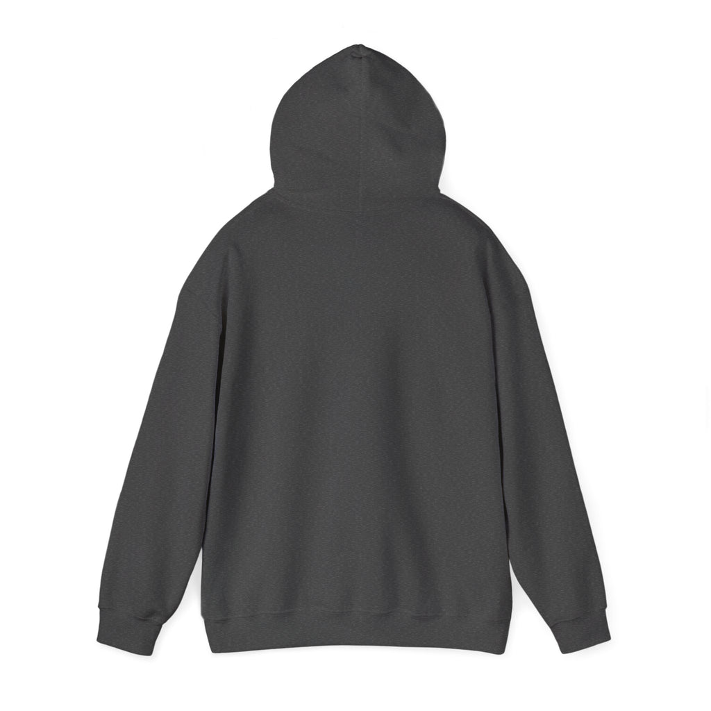 Be Still God’s Got This Hoodie | Christian encouragement, pastel groovy faith