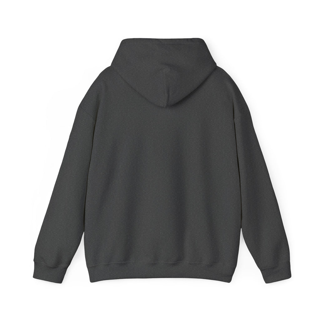 Be Still God’s Got This Hoodie | Christian encouragement, pastel groovy faith